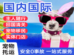 菏泽牡丹机场空运国际宠物托运 【国
